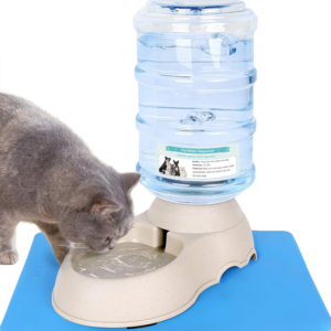 2 Pack Automatic Cat Feeder and Water Dispenser